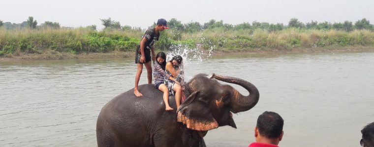 chitwan national park